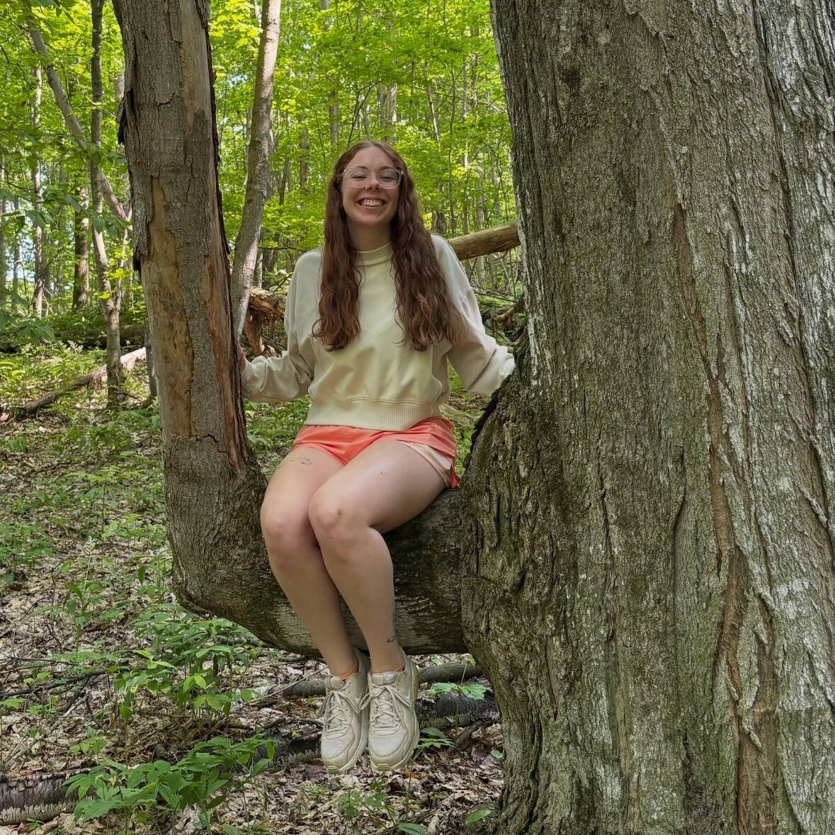 Maggie sits in a tree and smiles at the camera